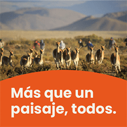 Sponsor